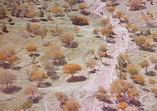 Sidi Harazem