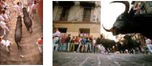 Running of the Bulls - Pamplona running with the bulls in the Sanfermines of Pamplona