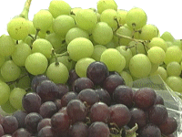 Grapes
