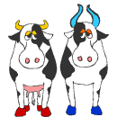 Cows and Milk