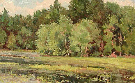 Vegetation Maryland Trees