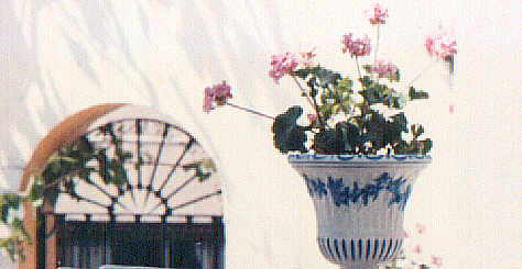 Talavera de la Reina - Spain - Ceramic Flower Pots
